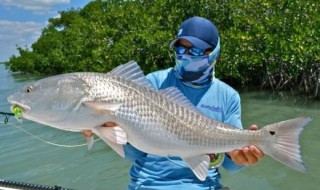 路亚怎么玩（路亚怎么玩才不挂底）