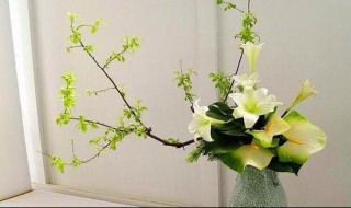 插花艺术教程固定法技巧（日常插花常用的固定方法）