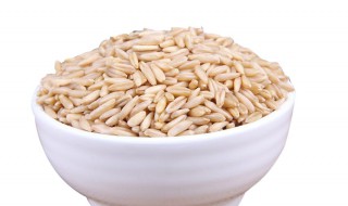 谷麦制作方法 钓鱼谷麦制作方法