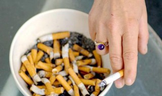 烟头泡水浇花的好处 烟头泡水浇花的好处是什么