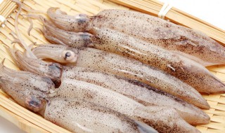 鱿鱼和章鱼有什么区别（鱿鱼和章鱼有什么区别图解）