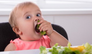 取名宝典2022年（2022宝宝取名）