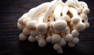 白玉菇和海鲜菇有什么区别 白玉菇和海鲜菇有什么不同