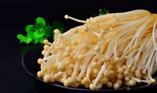 吃金针菇会胖吗（天天吃金针菇会胖吗）