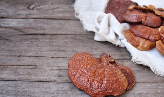 采来的野生灵芝怎么处理（采来的野生灵芝怎么处理最好）