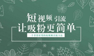 短视频引流的手段介绍 短视频引流的手段介绍怎么写