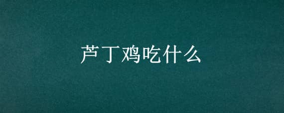 芦丁鸡吃什么_养鸡人必看 芦丁鸡不能吃什么