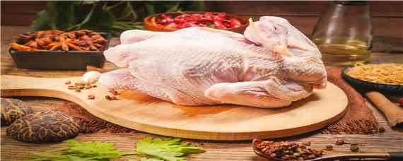 竹鸡养殖成功的养殖基地_养鸡人必看（竹鸡养殖技术）