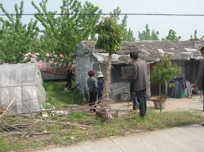嘉善县北港村处理违章畜禽棚舍拆除（嘉善县北港村处理违章畜禽棚舍拆除方案）