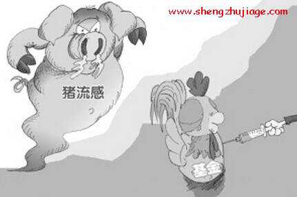 猪流感的流行特点及防控措施 猪流感的流行特点及防控措施有哪些