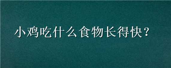 小鸡吃什么食物长得快 小鸡吃什么食物长得快一点