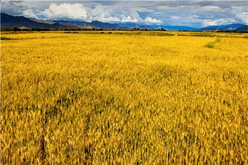 2021-2023湖北农机购置补贴政策