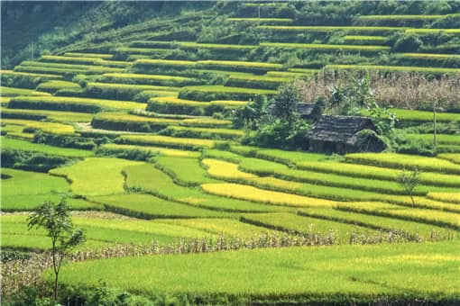 2021-2023湖北农机购置补贴政策