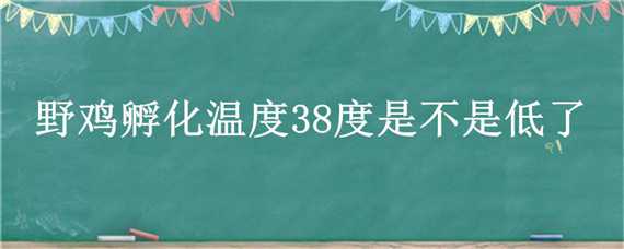 野鸡孵化温度38度是不是低了 孵化小鸡温度低于38度