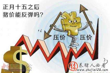 屠企一路打压 屠企一路打压小说