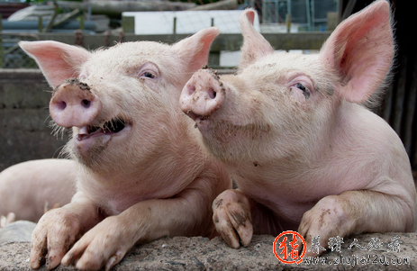 迎长假消费预备时间段