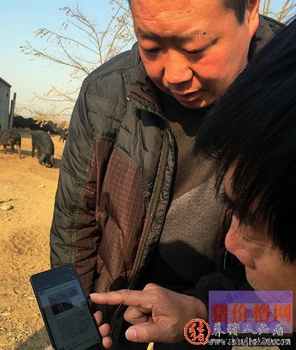 防止肉价大幅波动 肉类价格波动原因