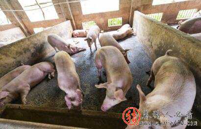 双节重合（双节重合诗词大全）