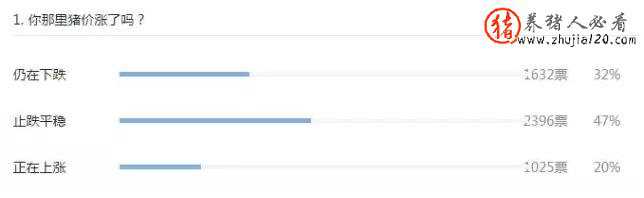 你那里猪价涨了吗（你那里猪价涨了吗英语）