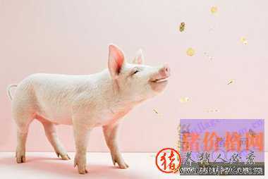 北方猪价拉涨全国均价 北方猪价下跌