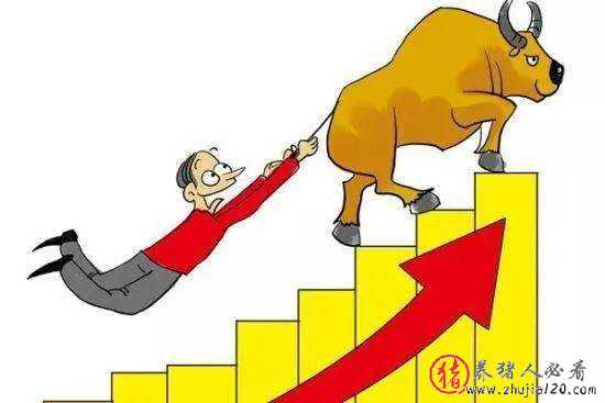 猪肉概念股集体飙涨 猪肉概念股遭主力大幅抛售