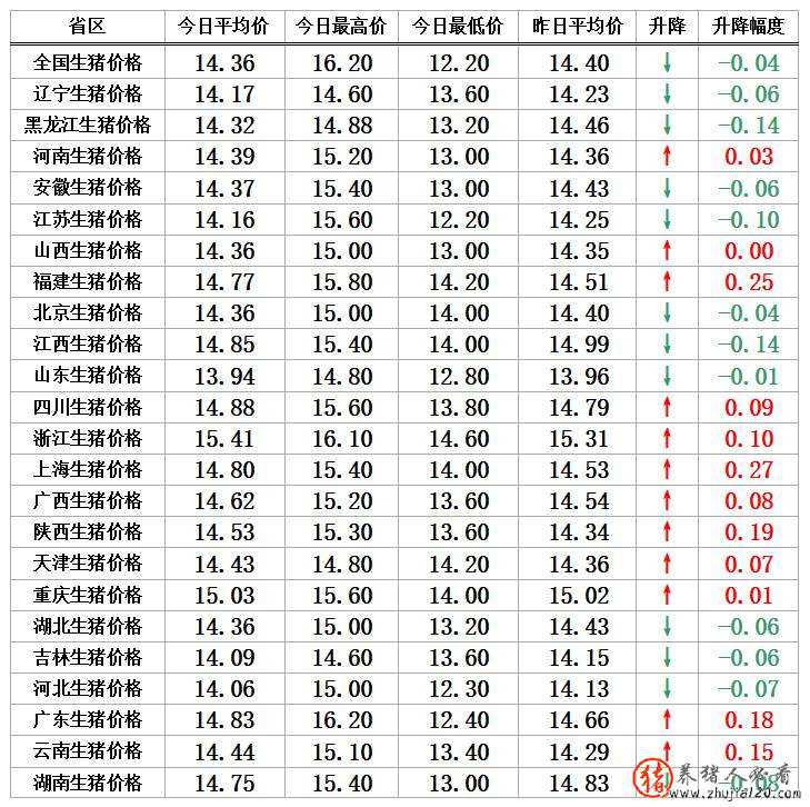 虚假的美好局面终于被撕破 虚假的美好和残酷的真实