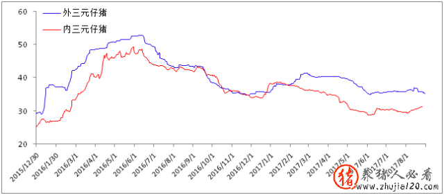认为猪价破8可能性不大，期望值不要过高，最应见好就收最好