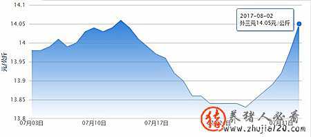猪价开启暴涨模式 猪价涨幅持续扩大