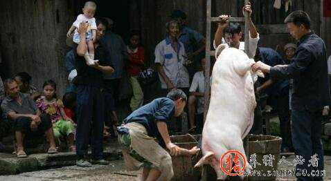 8月后猪价或将有阶段性回涨 8月后猪价或将有阶段性回涨吗