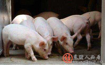 断档期还会有吗 工作有断档期半年多好不好