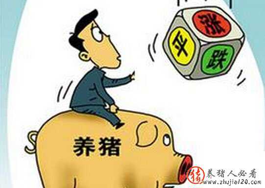 八月下旬，猪价何去何从 八月下旬猪价预测