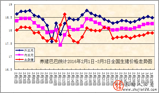 再涨！最高区域超大猪涨至10.5元 大猪上涨了没