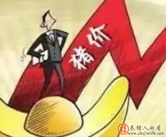 供需博弈下（供需经济学）