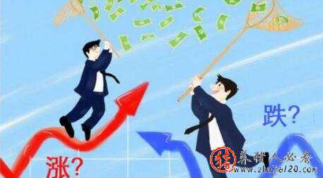 猪价涨势是否就此打住 猪价给有上涨的机会了