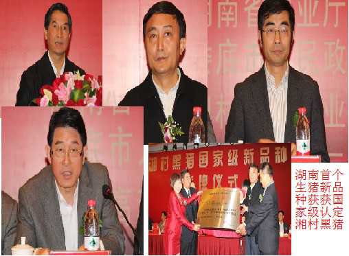 湖南首个生猪新品种获获国家级认定 湖南首个生猪新品种获获国家级认定名单