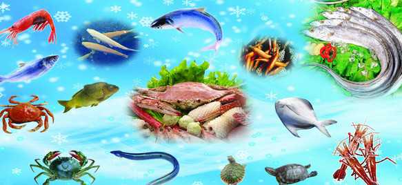 浙江禽流感导致水产、猪肉人气旺（浙江禽流感最新疫情2019）