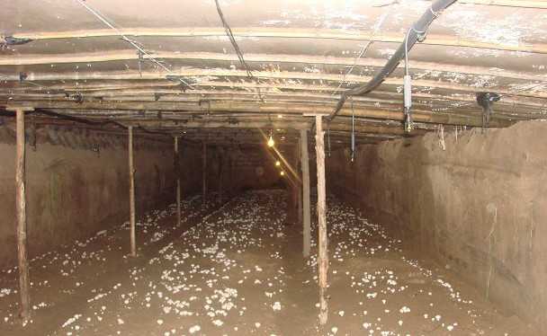 浙江嘉兴53户猪农实施猪棚改菇棚 嘉兴猪场