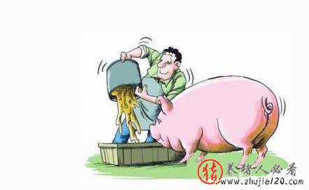 养猪业可持续发展的能力（养猪业可持续发展的能力有哪些）