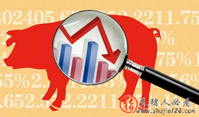 猪价跌多涨少，节前涨价何时来 今年猪价会涨到什么时候