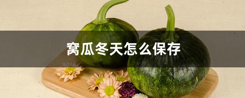 窝瓜冬天怎么保存（窝瓜冬天怎样保存）