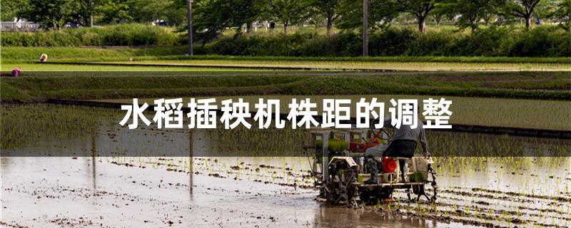 水稻插秧机株距的调整方法 水稻插秧机株距的调整方法图解