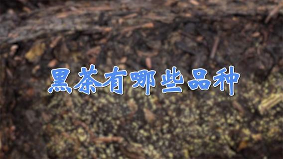 黑茶有哪些品种（黑茶有哪些品种排名以及产地）
