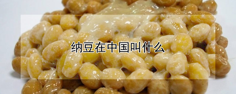 纳豆在中国叫什么 纳豆中国叫什么名字