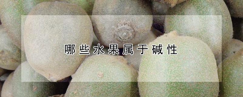 哪些水果属于碱性 哪些水果属于碱性水果生女孩