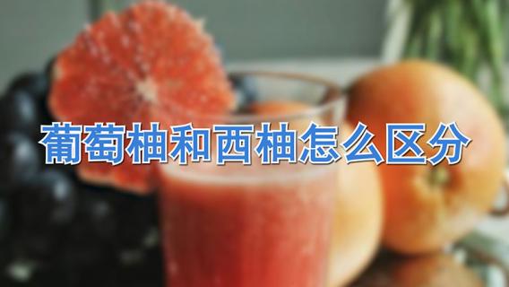葡萄柚和西柚怎么区分（葡萄柚和西柚怎么区分出来）