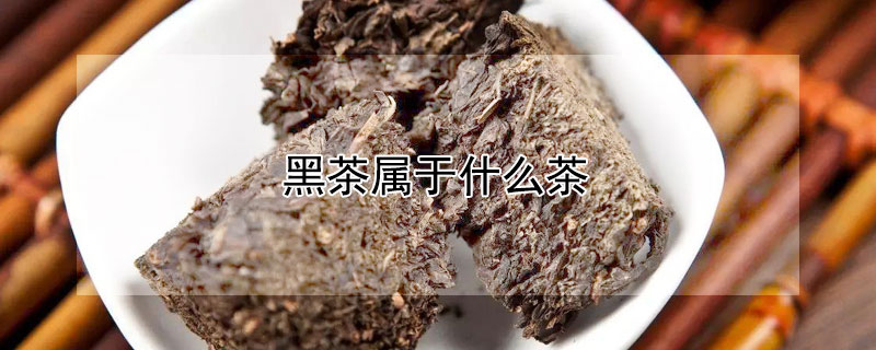 黑茶属于什么茶 黑茶属于红茶还是绿茶