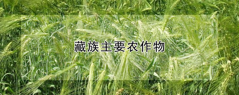 藏族主要农作物 藏族主要农作物分布