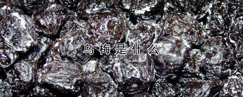 乌梅是什么（乌梅是什么颜色）