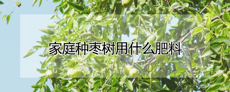 家庭种枣树用什么肥料 家庭种枣树用什么肥料好