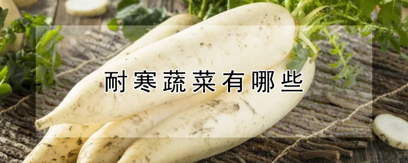 耐寒蔬菜有哪些（耐寒蔬菜有哪些?）